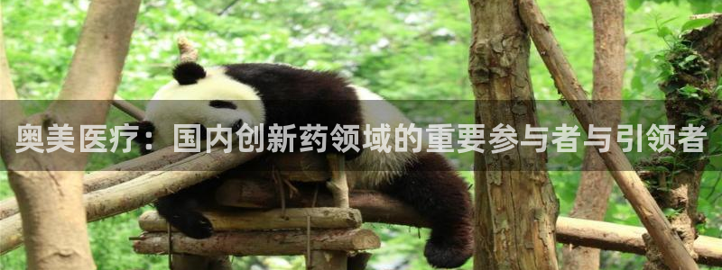 彩名堂计划怎么跟,为什么我一跟就挂：奥美