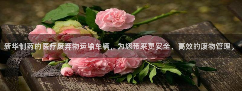 彩名堂免费计划下载