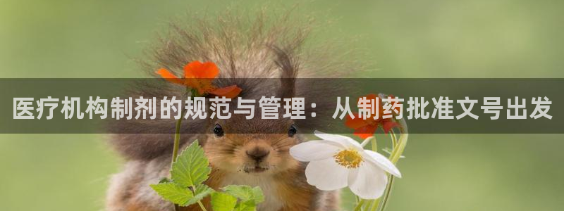 彩名堂怎么选稳定计划