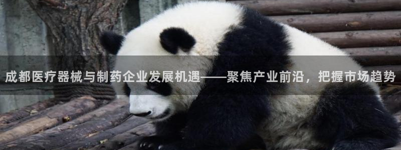 彩名堂怎么跟计划才不连挂在一起