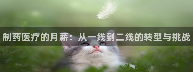彩名堂最新版www