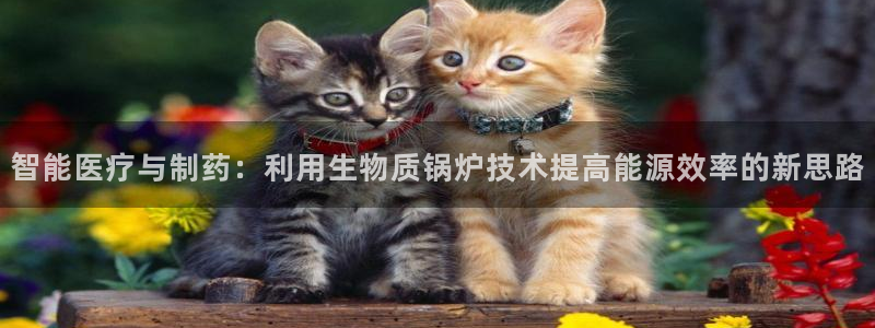 彩名堂免费计划5.0使用方法