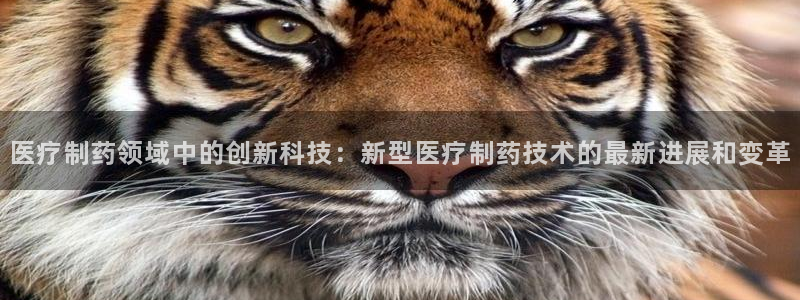 彩名堂彩