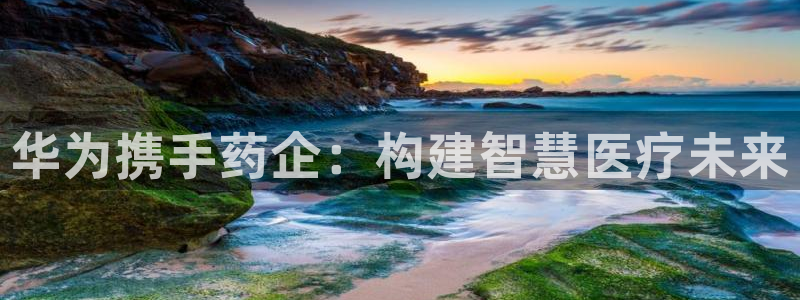 彩名堂.netnet