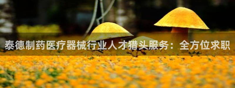 彩名堂排三