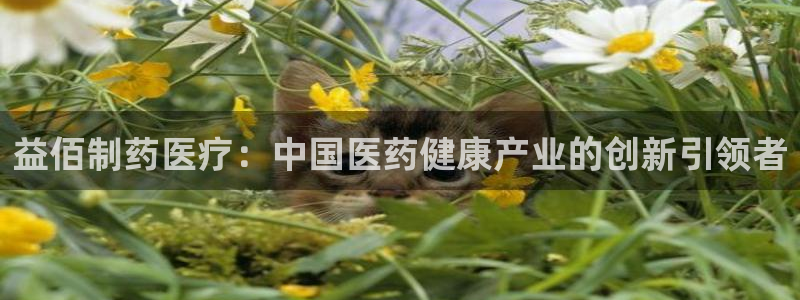 彩名堂幸运飞船计划