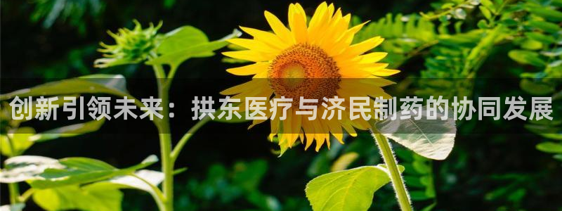 彩名堂使用方法