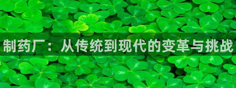 彩名堂计划技巧有哪些