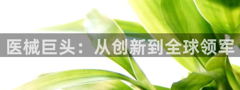 正规彩名堂官网计划