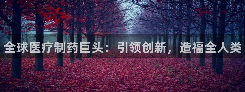 彩名堂人工计划怎么找不到下载了?