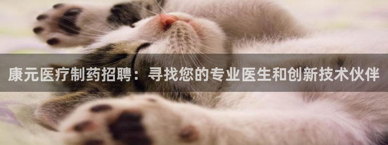 彩名堂用不了