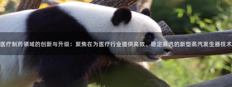 彩名堂网页