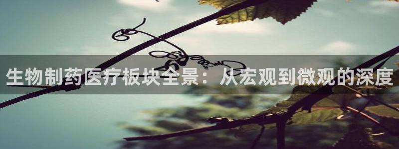 彩名堂客户