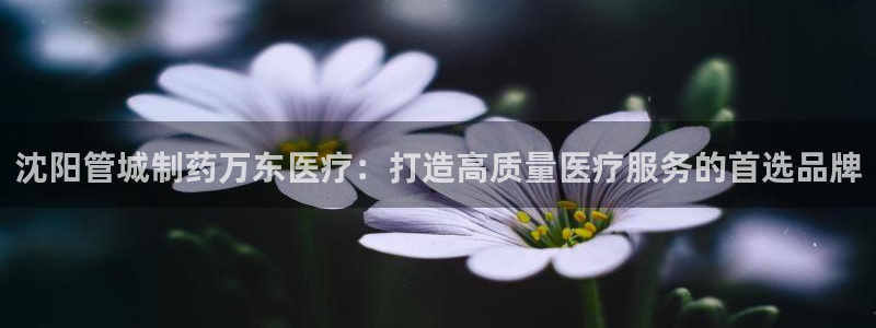 彩名堂预测软件与分析